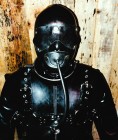 Bild 41975