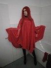 Bild 41897