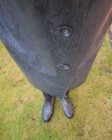 Bild 41618