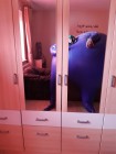 Bild 43724