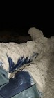 Bild 45668