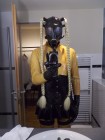 Bild 42155