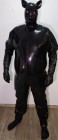 Bild 41553