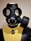 Bild 42547