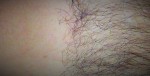 7_57865_3b037c8da6.JPG